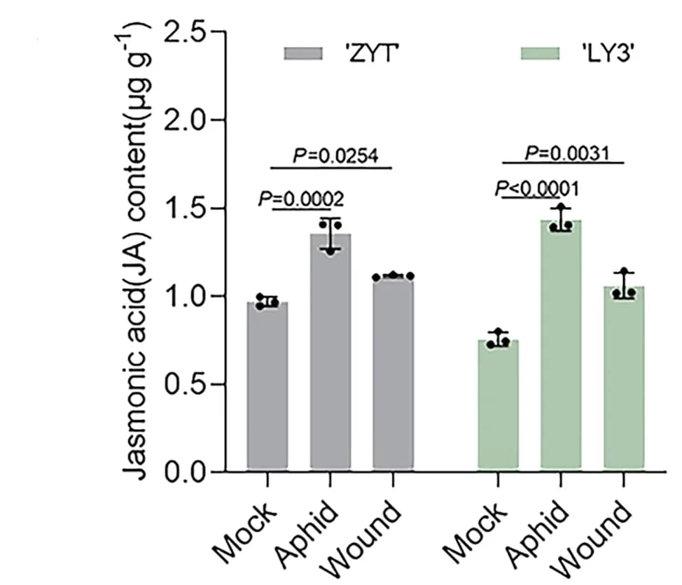 Open access visualization of Bar Plot, Error Bars, Clustered, JA Content, Aphid Infestation