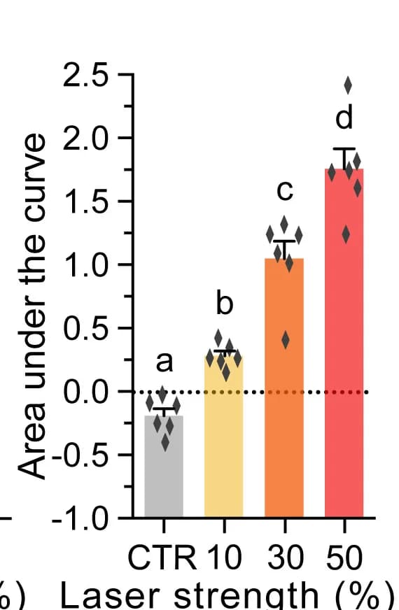 Open access visualization of Bar Plot, Error Bars, Area Under Curve, Calcium Increase, High Light Stimulus