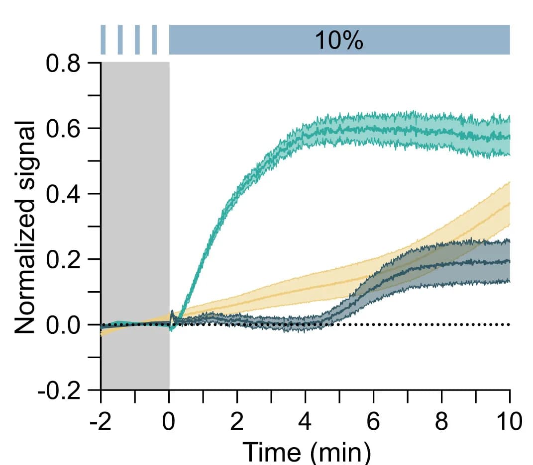Open access visualization of Line Plot, Error Bars, H2O2, Ca2+, Laser