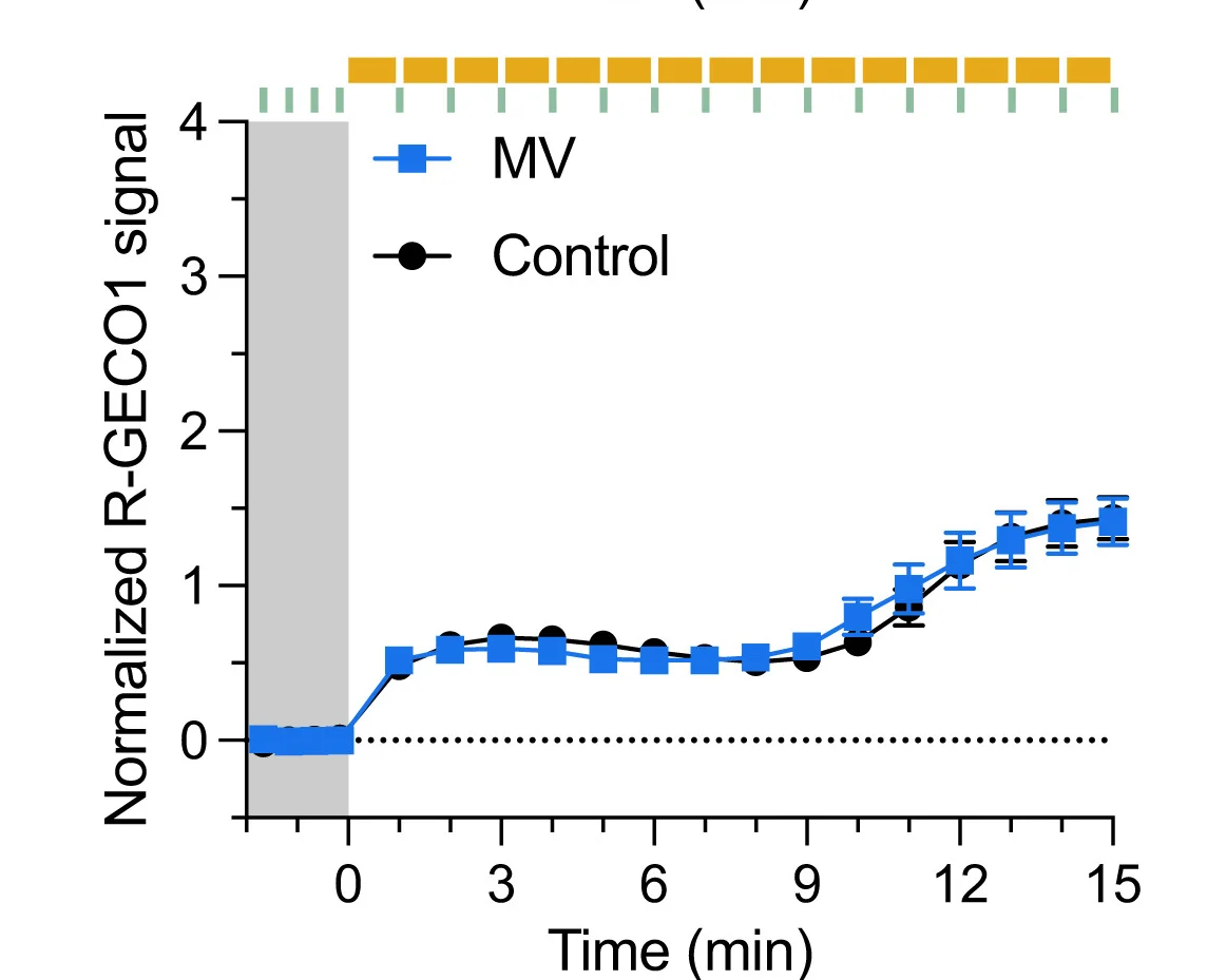 Open access visualization of Line Plot, Error Bars, Ca2+, NTRC-R-GECO1, Protoplasts