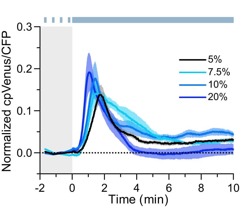 Open access visualization of Line Plot, Error Bars, Calcium Dynamics, Laser Stimulation, Cotyledons