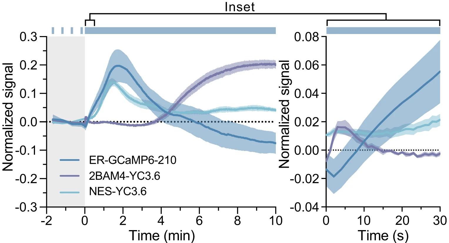 Open access visualization of Line Plot, Error Bars, Calcium, Laser Stimulation, Cotyledons