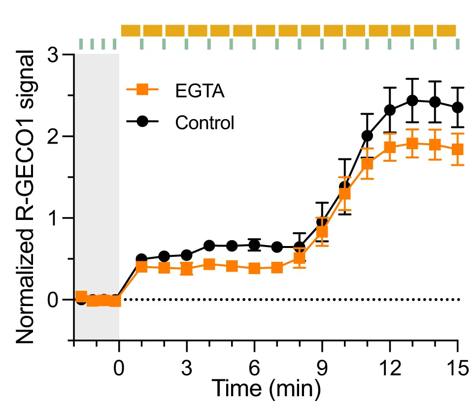 Open access visualization of Line Plot, Error Bars, Calcium Dynamics, NTRC-R-GECO1, Protoplasts