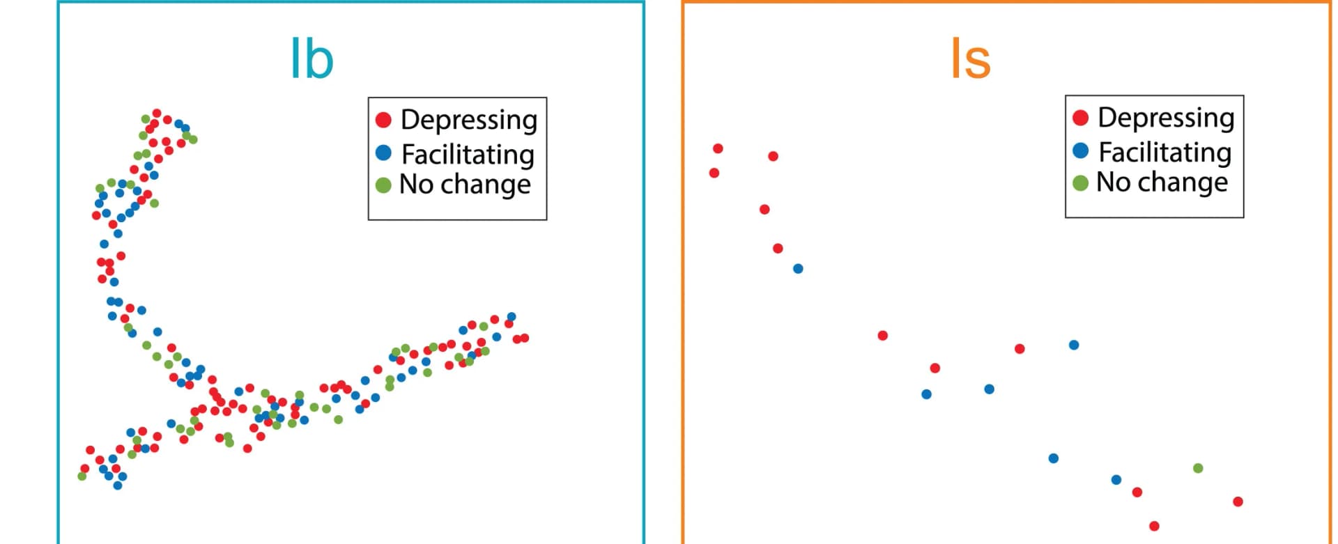 Open access visualization of Scatter Plot, NMJs, Synapses, Active Zones, Muscle