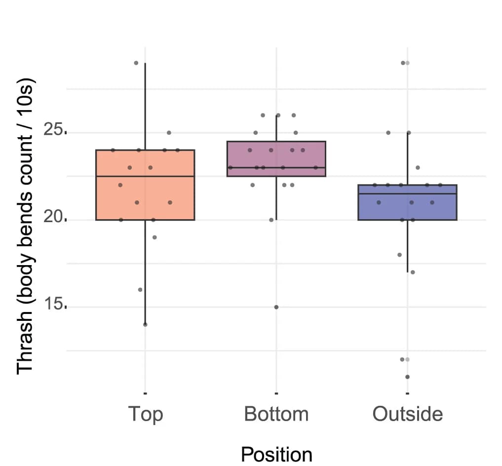 Open access visualization of Box Plot, Scatter Plot, Body Bend Counts, Tower Positions, Linear Mixed-Effect Models