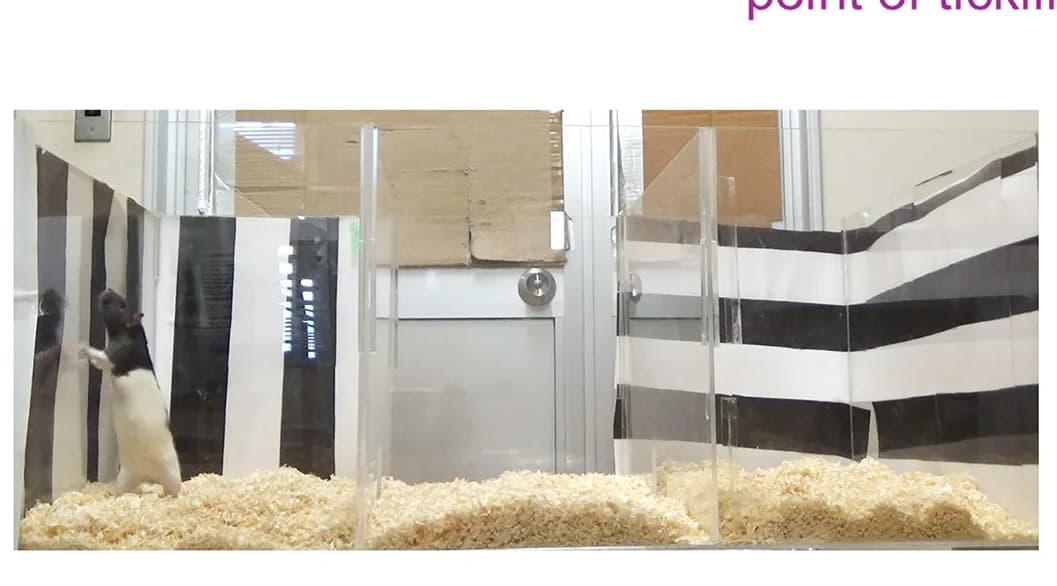 Open access visualization of Photo, Photograph, CPP Apparatus