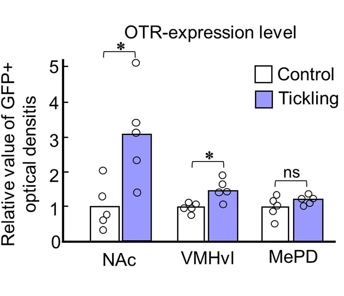 Open access visualization of Bar Plot, Clustered, Scatter Plot, Immunohistochemical Analysis, OTR Expression