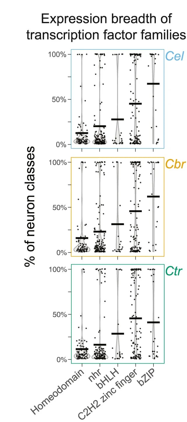 Open access visualization of Violin Plot, Scatter Plot, Expression Breadth, Transcription Factor, Neuron Types