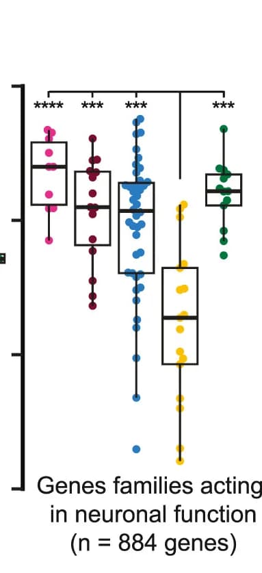 Open access visualization of Box Plot, Scatter Plot, Violin Plot, Jaccard Distances, Neuron Classes