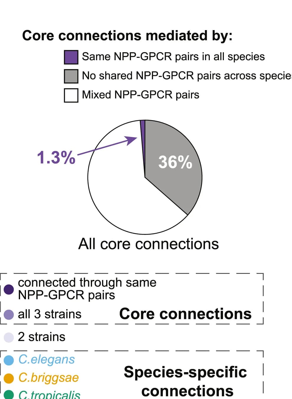 Open access visualization of Pie Chart, Connectome, Neuropeptide, GPCR, Evolution