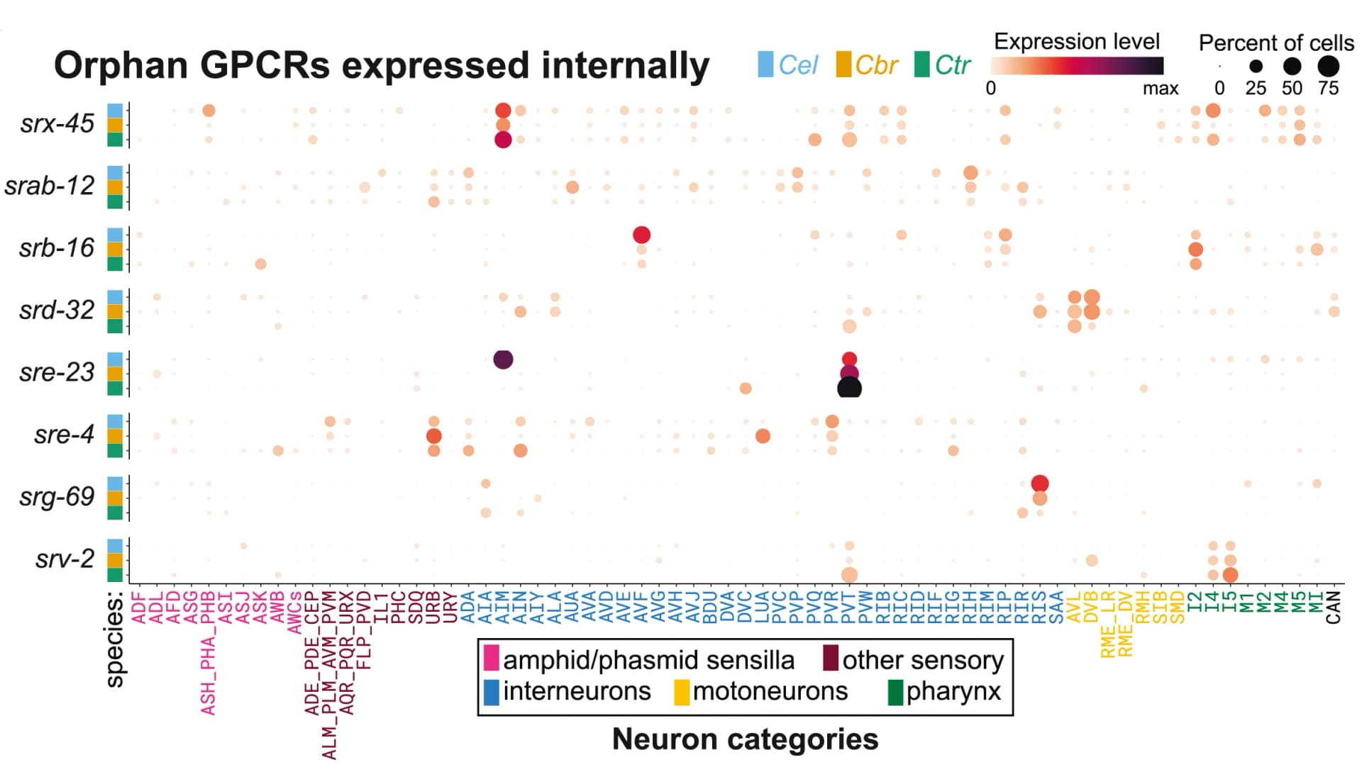 Open access visualization of Bubble Plot, Bar Plot, GPCRs, Neurons, Nematode