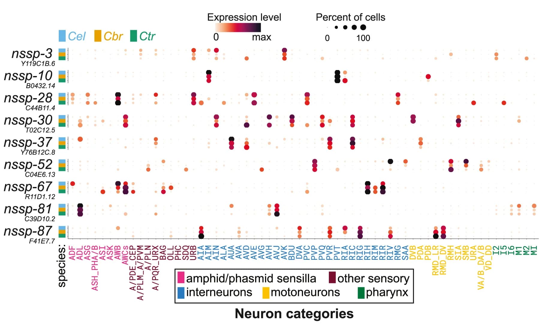 Open access visualization of Scatter Plot, Heatmap, Cross-Species Expression, NSSP Orthologs, NSSPs