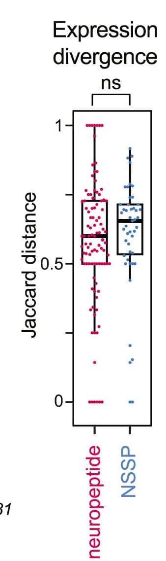 Open access visualization of Box Plot, Scatter Plot, Jaccard Distances, Expression Breadth, Neuropeptides
