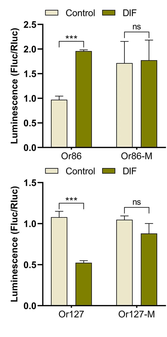 Open access visualization of Bar Plot, Error Bars, Clustered, DIF, Transcriptional Regulation