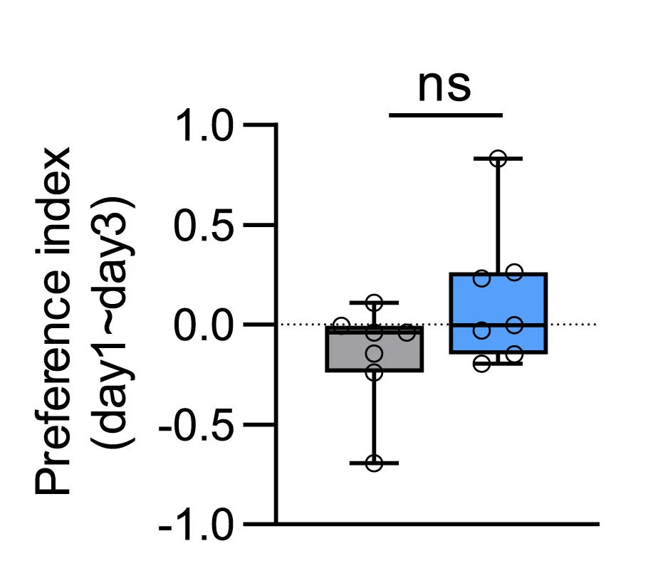 Open access visualization of Box Plot, Scatter Plot, Preference Indices, Wild-Type Flies, Mutant Flies