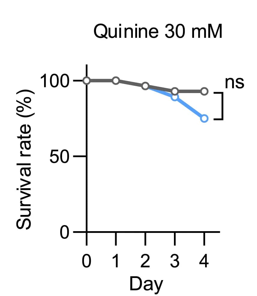 Open access visualization of Line Plot, Survival Curve, Survival Rate, Kruskal-Wallis Test, Dunn’s Multiple Comparison