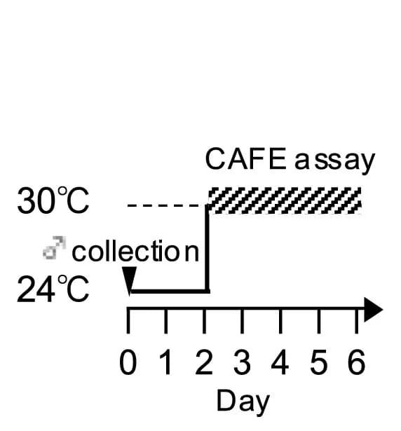 Open access visualization of Line Plot, Line Step, Copper Consumption, Feeding Preference, Survival Rate