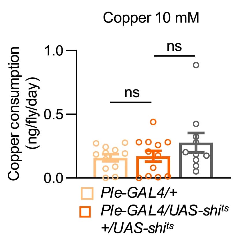 Open access visualization of Scatter Plot, Error Bars, Copper Consumption, Feeding Preference, Survival Rate
