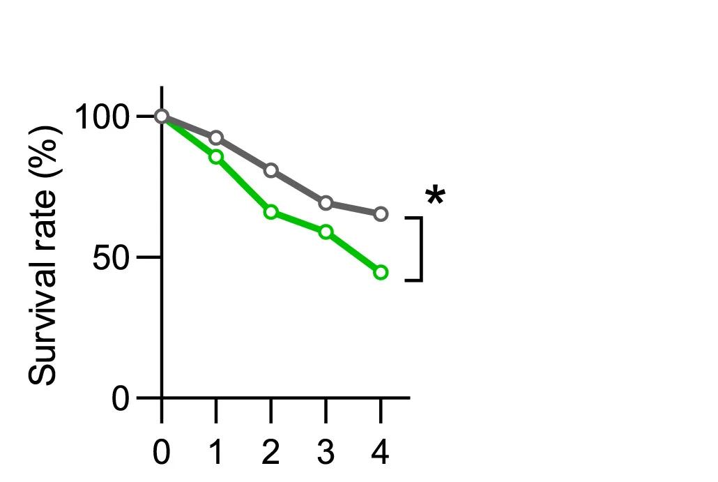 Open access visualization of Line Plot, Survival Curve, Copper Consumption, Preference Index, Survival Rate