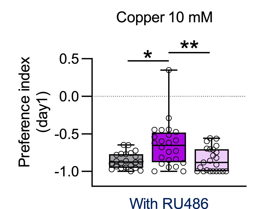 Open access visualization of Box Plot, Scatter Plot, Feeding Preference, Copper Solution, Ecdysteroid Biosynthesis