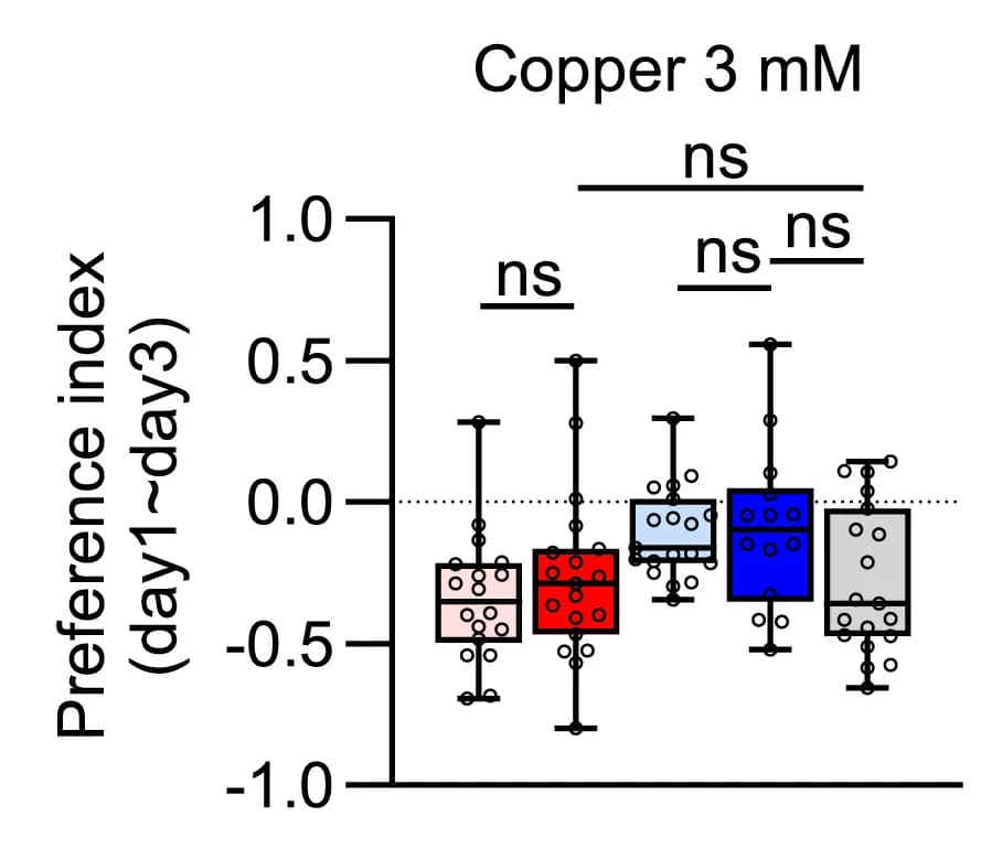 Open access visualization of Box Plot, Scatter Plot, Feeding Preference, DopEcR Knockdown, CCR
