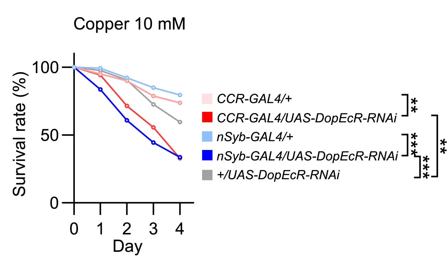 Open access visualization of Line Plot, Survival Rate, DopEcR Knockdown, Nervous System, Sucrose