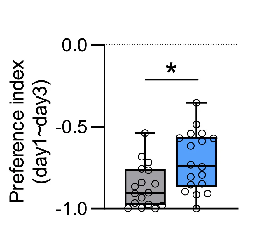 Open access visualization of Box Plot, Scatter Plot, Feeding Preference, CS, DopEcRGAL4 Mutant