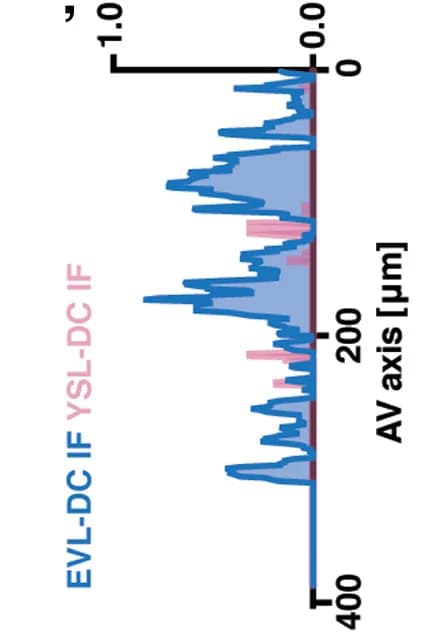 Open access visualization of Line Plot, Bar Plot, Maximum Intensity Projections, Embryo, Yolk Syncytial Layer