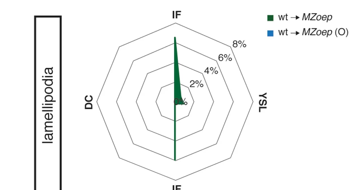 Open access visualization of Radar Chart, Lamellipodia, Filopodia, Prechordal Plate, Embryos