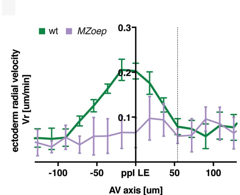Open access visualization of Line Plot, Error Bars, Radial Velocities, Deep Cell, Wild-Type Embryos