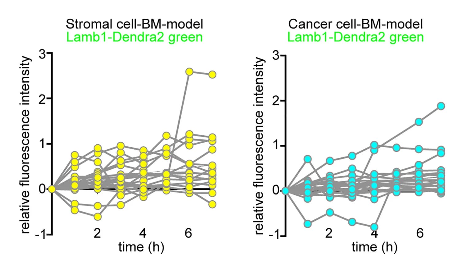Open access visualization of Line Plot, Scatter Plot, Fluorescence Changes, Lamb1-Dendra2, Stromal-cell-BM Model