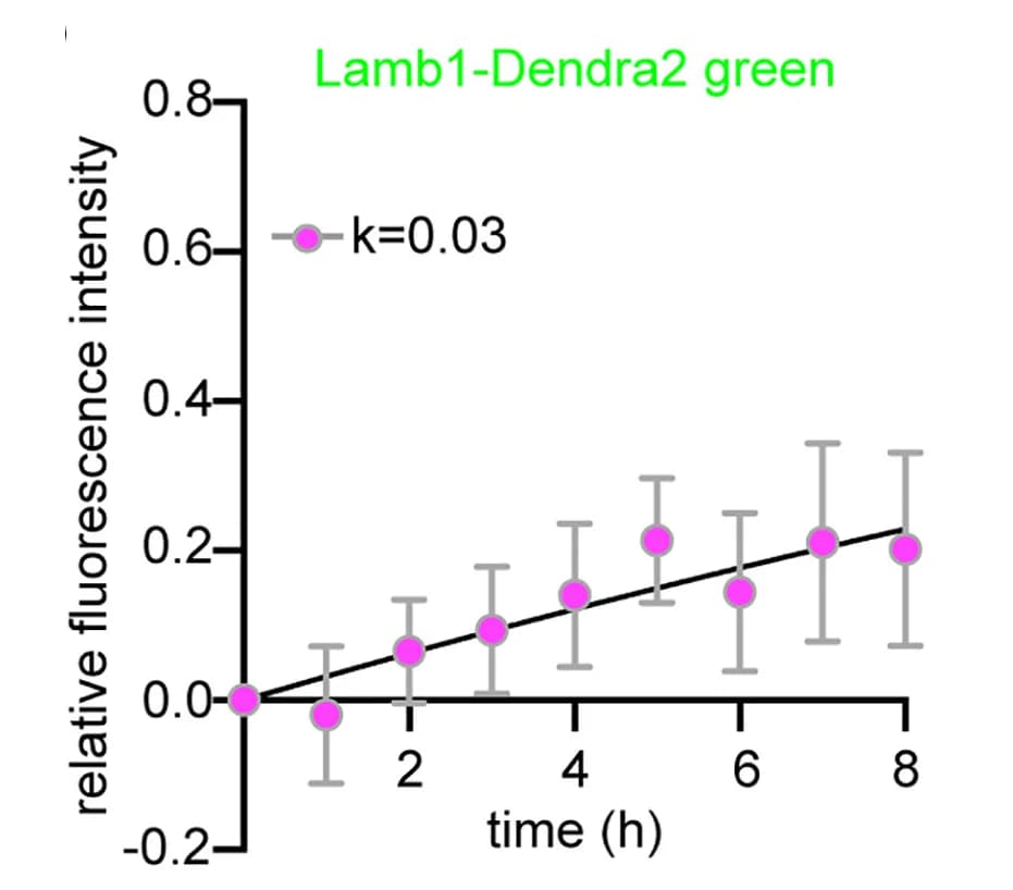 Open access visualization of Scatter Plot, Regression Plot, Error Bars, Fluorescence, Lamb1-Dendra2