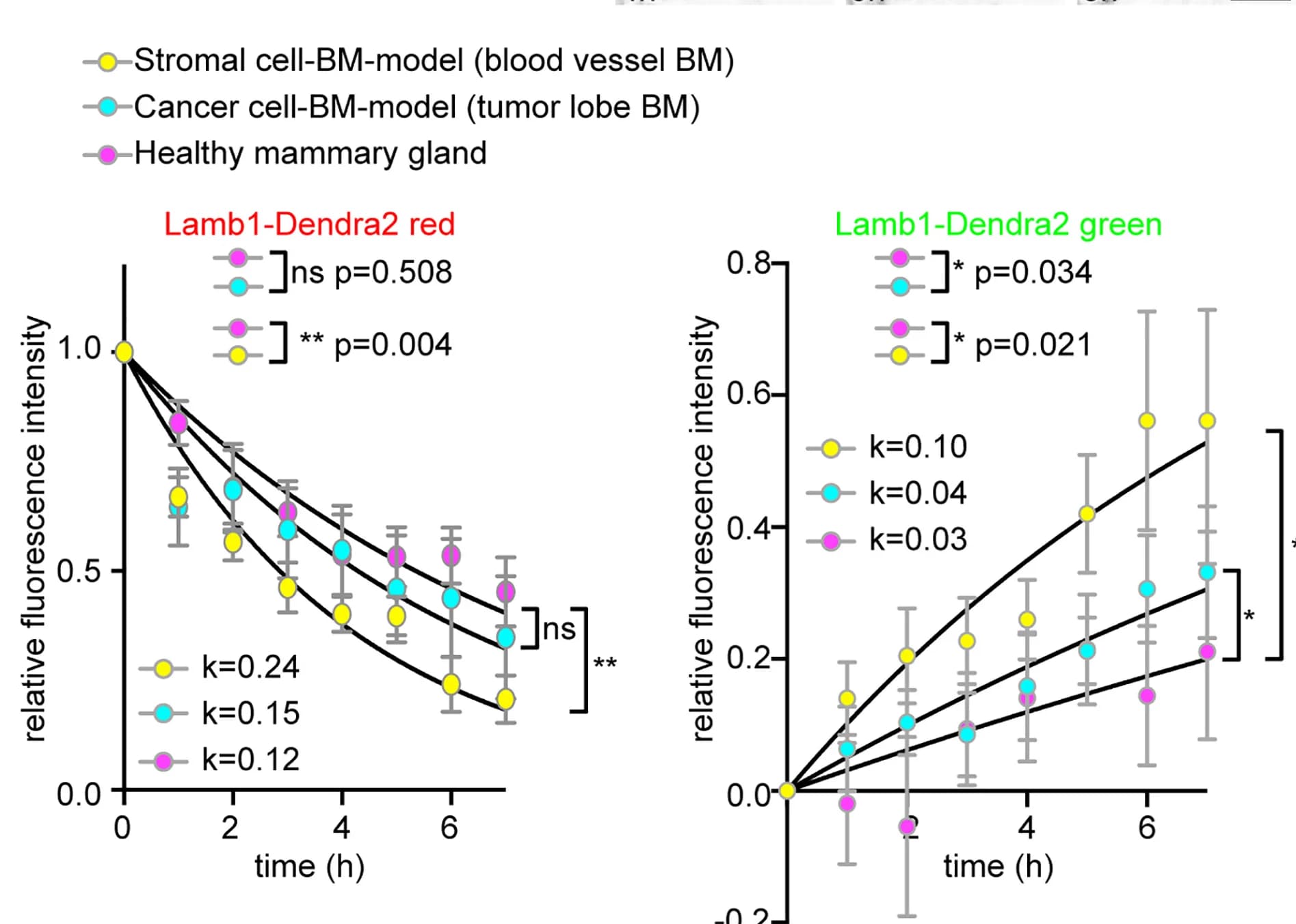 Open access visualization of Line Plot, Error Bars, Turnover Kinetics, Lamb1-Dendra2, Stromal Cells