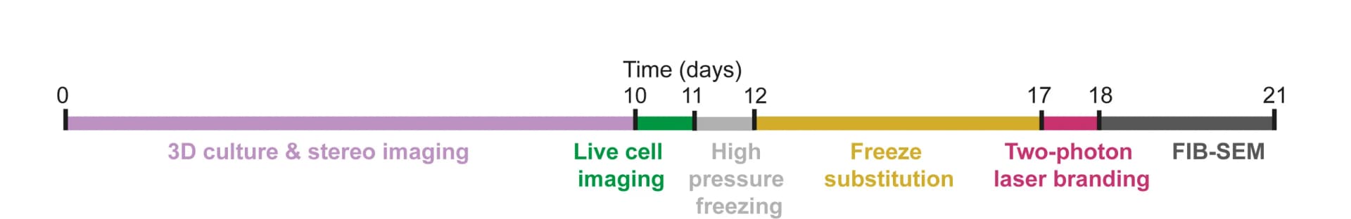Open access visualization of Line Plot, Line Step, 3D Cell Culture, Sample Preparation, Imaging