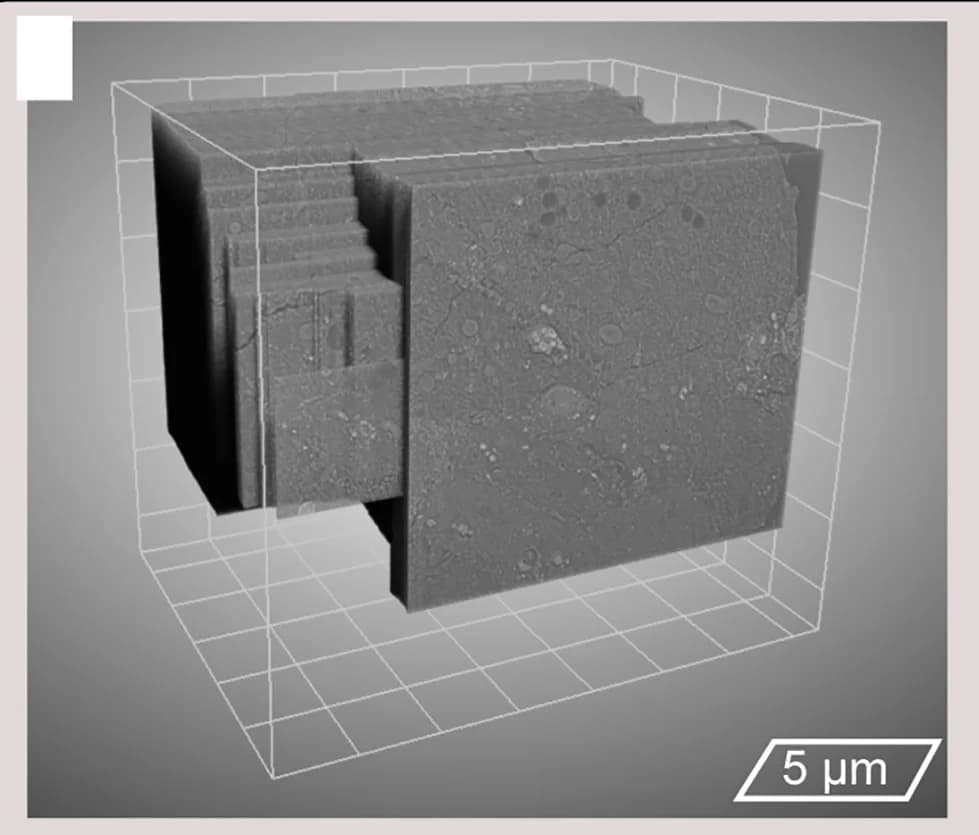 Open access visualization of 3D Plot, Microscopy, 3D Representation, FIB-SEM Acquisition
