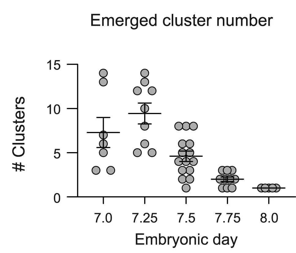 Open access visualization of Scatter Plot, Error Bars, Emerged Clusters, Axial Mesoderm Epithelium, Embryos