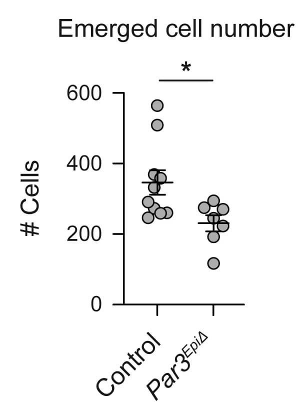 Open access visualization of Scatter Plot, Error Bars, Cell Number, Control Embryos, Par3EpiDelta Embryos