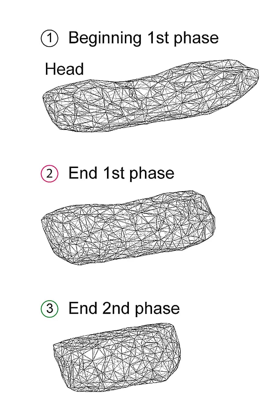 Open access visualization of 3D Plot, Chemical Structure, 3D Reconstruction, VNC Shape, Condensation