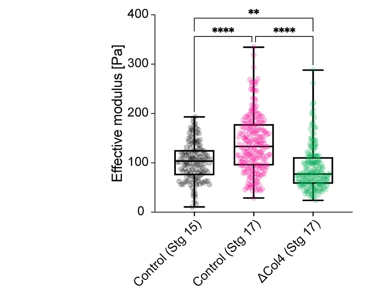 Open access visualization of Box Plot, Scatter Plot, Atomic Force Microscopy, VNC, Stiffness