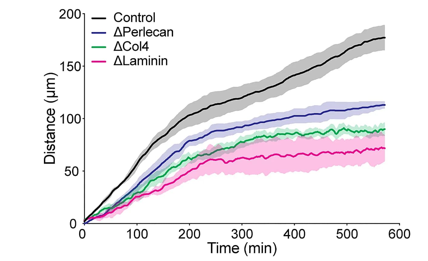 Open access visualization of Line Plot, Error Bars, VNC, Condensation Rate, Tail Motion