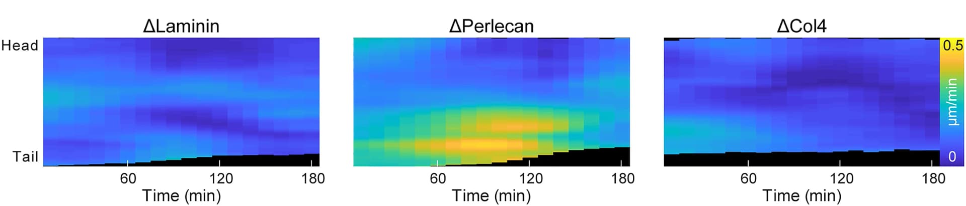 Open access visualization of Heatmap, Kymograph, VNC, Condensation Speed, PIV Analysis