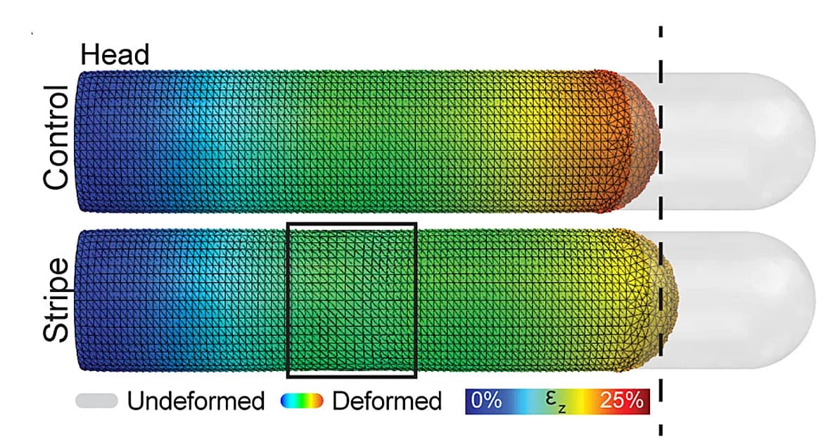 Open access visualization of 3D Plot, VNC Condensation, Surface Tension, Finite Element Analysis