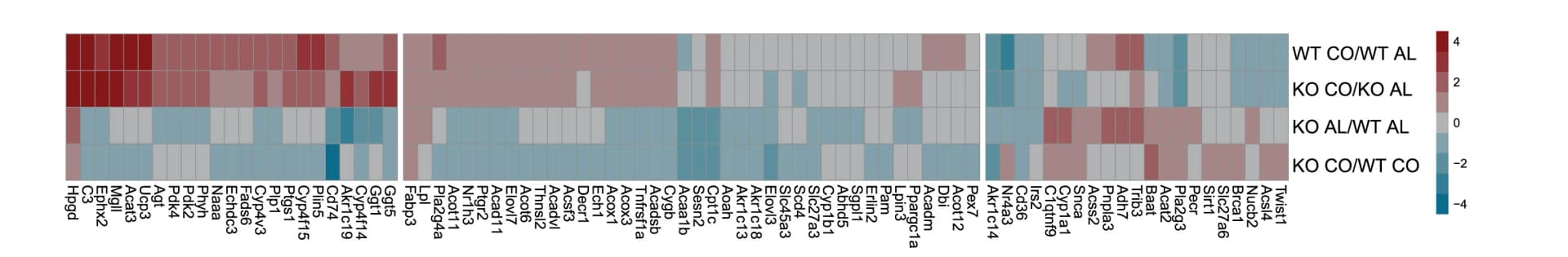 Open access visualization of Heatmap, Clustered, Hierarchical clustering, RNA-seq, Lipid metabolism genes