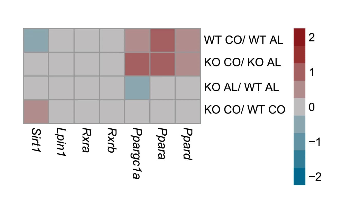 Open access visualization of Heatmap, RNA-seq, Log2 Expression Ratios, FAO Regulators, Cell Cultures