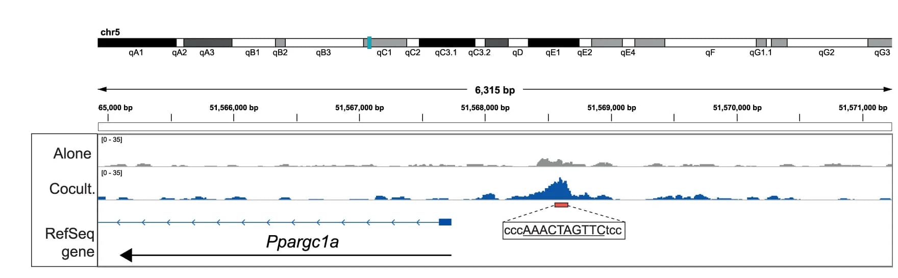 Open access visualization of Line Plot, Density Plot, p53, CUT&RUN, Read Coverage