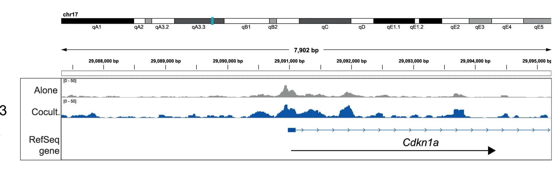 Open access visualization of Line Plot, p53, CUT&RUN, Read Coverage, Cdkn1a Gene