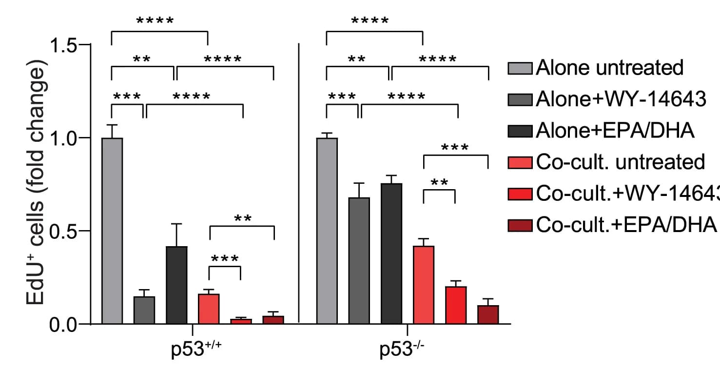 Open access visualization of Bar Plot, Error Bars, EdU FACS, Cell Cultures, PPARα Agonist