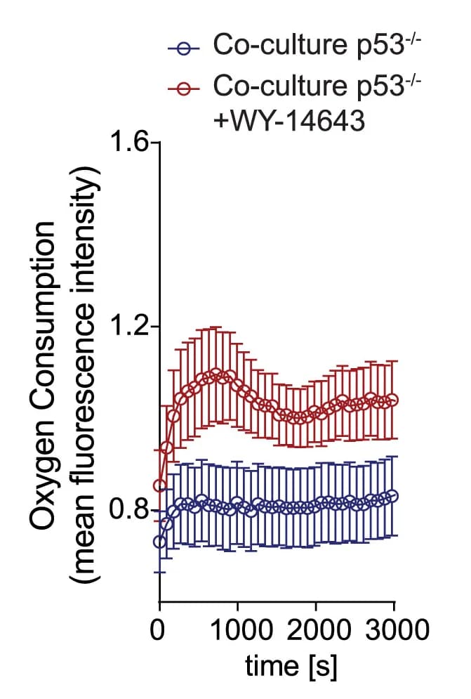 Open access visualization of Line Plot, Error Bars, Fatty Acids, Oxygen Consumption, p53−/−