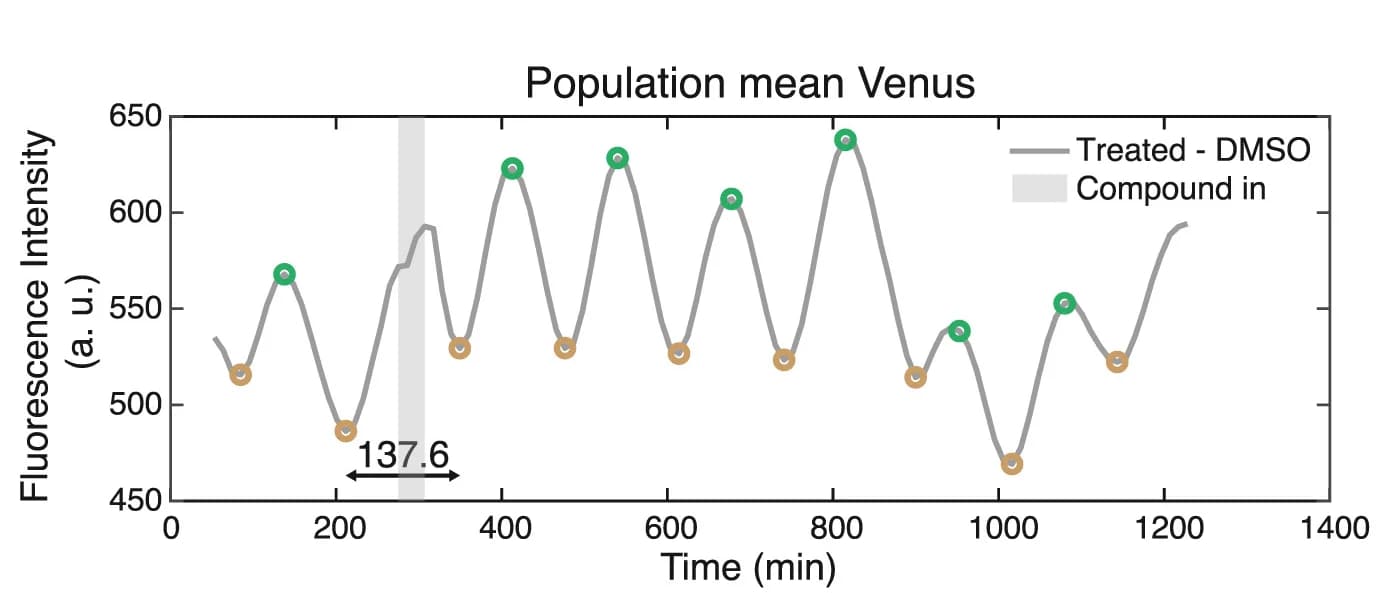 Open access visualization of Line Plot, Fluorescence, mPSM, Cell Culture, DMSO