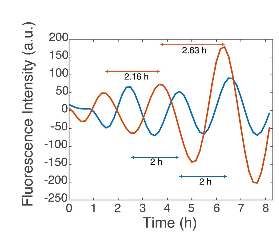 Open access visualization of Line Plot, Detrended Signals, Synchronization